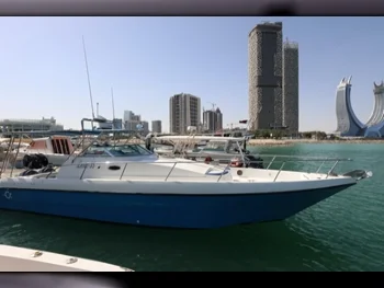 قوارب سريعة او 2 مارين  ليستي 35  2014  الإمارات العربية المتحدة  مع موقف