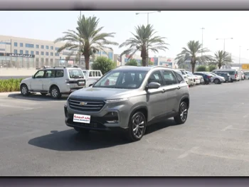 Chevrolet  Captiva  LS  2023  Automatic  0 Km  4 Cylinder  Front Wheel Drive (FWD)  SUV  Gray  With Warranty