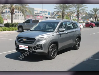 Chevrolet  Captiva  LS  2023  Automatic  0 Km  6 Cylinder  Front Wheel Drive (FWD)  SUV  Silver  With Warranty