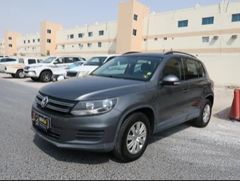 Volkswagen  Tiguan  2.0 TSI  2014  Automatic  177,000 Km  4 Cylinder  All Wheel Drive (AWD)  SUV  Gray  With Warranty