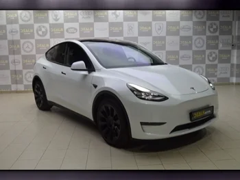 Tesla  Model Y  Performance  2022  Automatic  0 Km  0 Cylinder  All Wheel Drive (AWD)  Sedan  White  With Warranty