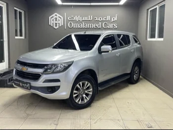 Chevrolet  Traverse  2017  Automatic  81,000 Km  6 Cylinder  Four Wheel Drive (4WD)  SUV  Silver  With Warranty