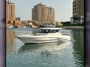Fishing & Sail Boats - Gulf Craft  - Silver Craft  - UAE  - 2017  - White