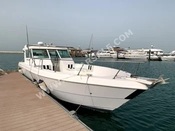 500  UAE  10  2  4  Yamaha  White  2007  1  Dubai Marine  35  35  7  3  Radar  Flashlights  Fish Finder  Depth Finder  Sound System  GPS System