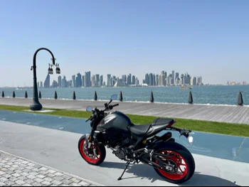 Ducati  Monster -  2021 - Color Gray -  Warranty