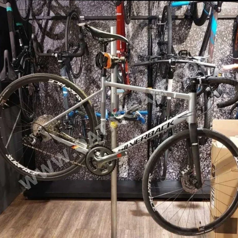 دراجة الطريق  - شيمانو  - كبير(19-20 بوصة)  - اللون الرمادي