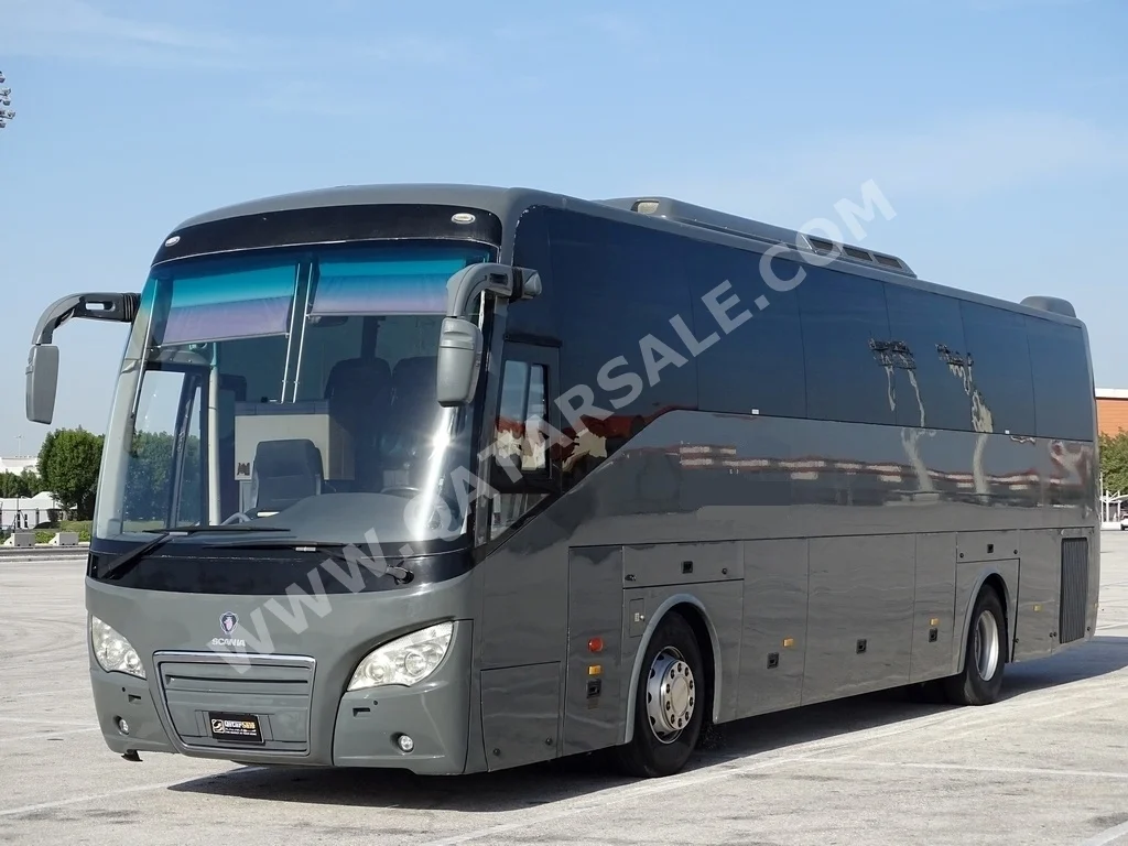 Bus Scania  A80  2015  Gray  75000